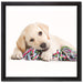 Hundewelpe auf Leinwandbild Quadratisch gerahmt Größe 40x40