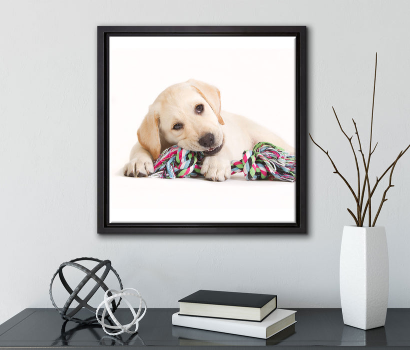 Hundewelpe  auf Leinwandbild Quadratisch gerahmt mit Kirschblüten