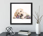 Hundewelpe  auf Leinwandbild Quadratisch gerahmt mit Kirschblüten