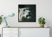 Leopard auf Leinwandbild gerahmt Quadratisch verschiedene Größen im Wohnzimmer
