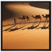 Kamelkarawane in der Wüste auf Leinwandbild Quadratisch gerahmt Größe 70x70