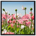 Blumenwiese Mohnblumen auf Leinwandbild Quadratisch gerahmt Größe 70x70