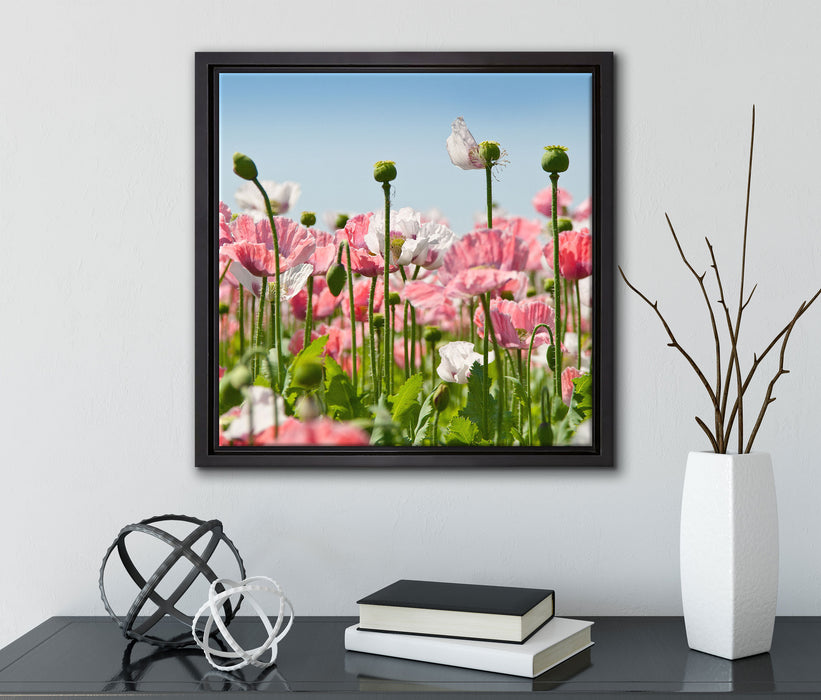Blumenwiese Mohnblumen  auf Leinwandbild Quadratisch gerahmt mit Kirschblüten