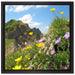 Blumenwiese im Frühling auf Leinwandbild Quadratisch gerahmt Größe 40x40