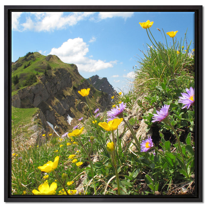 Blumenwiese im Frühling auf Leinwandbild Quadratisch gerahmt Größe 60x60