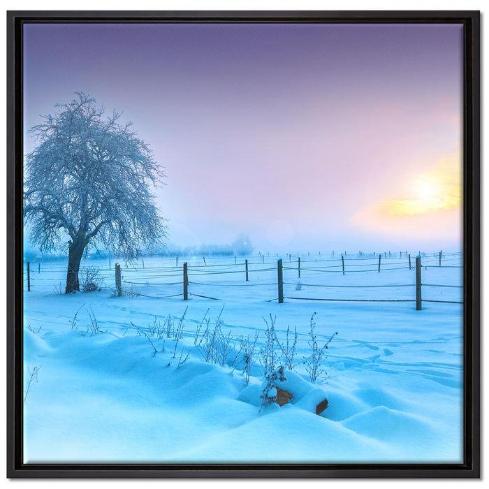 Baum in Winterlandschaft auf Leinwandbild Quadratisch gerahmt Größe 70x70