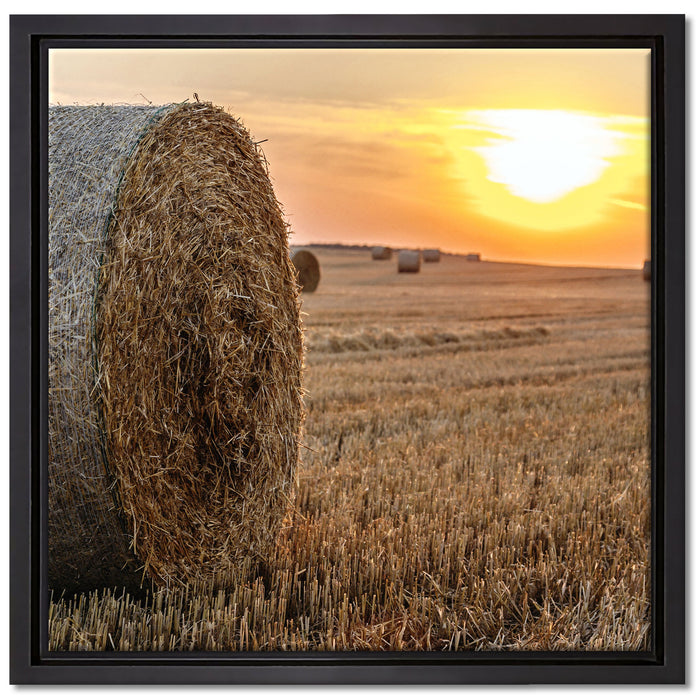 Strohballen auf Feld auf Leinwandbild Quadratisch gerahmt Größe 40x40