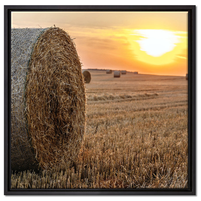 Strohballen auf Feld auf Leinwandbild Quadratisch gerahmt Größe 60x60