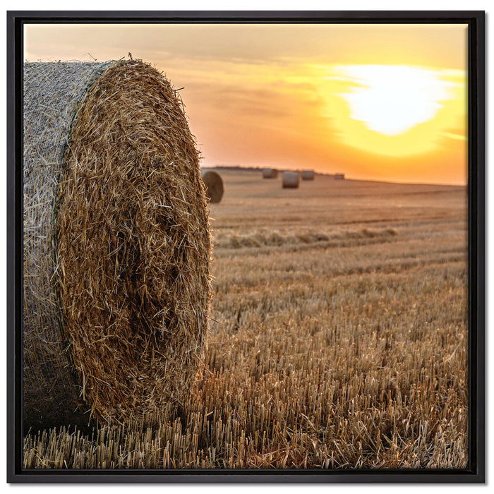 Strohballen auf Feld auf Leinwandbild Quadratisch gerahmt Größe 70x70