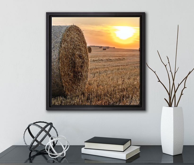 Strohballen auf Feld  auf Leinwandbild Quadratisch gerahmt mit Kirschblüten