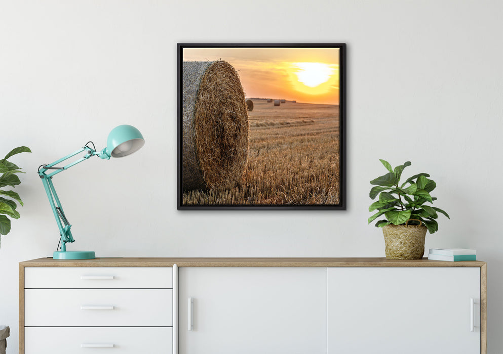 Strohballen auf Feld auf Leinwandbild gerahmt Quadratisch verschiedene Größen im Wohnzimmer
