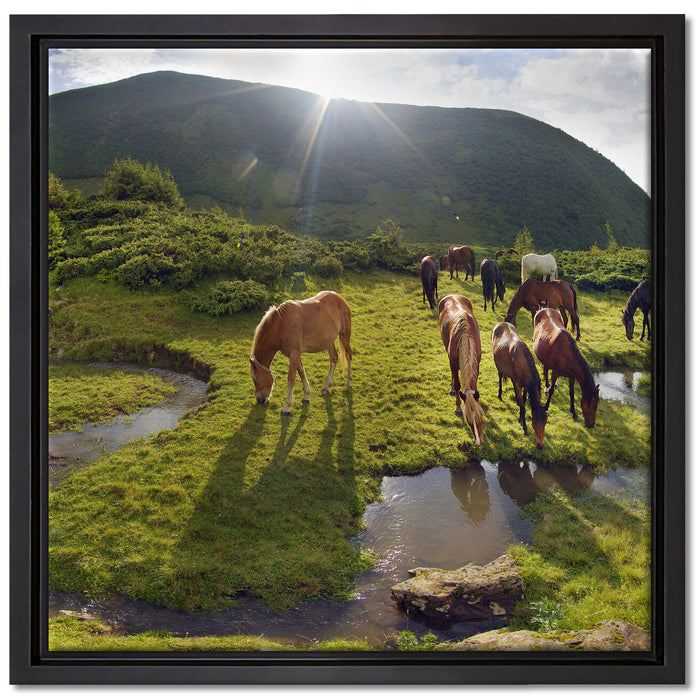 Pferde auf Wiese auf Leinwandbild Quadratisch gerahmt Größe 40x40