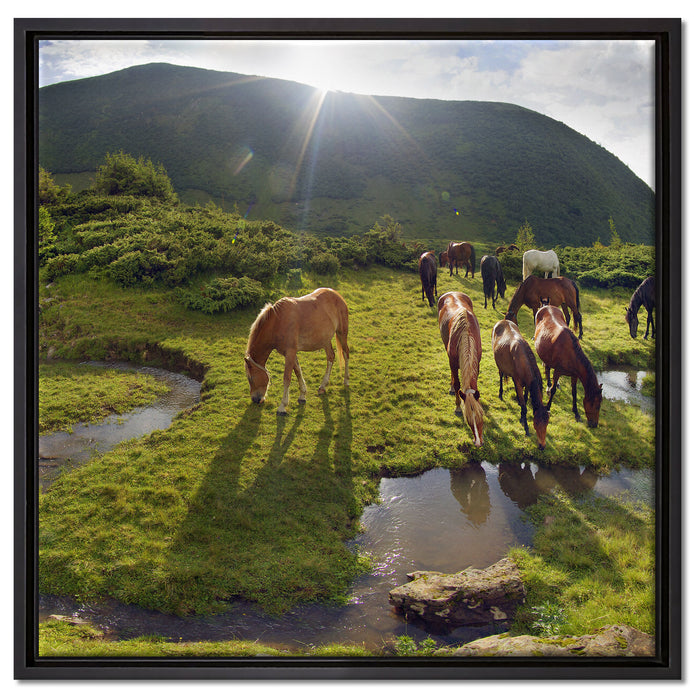 Pferde auf Wiese auf Leinwandbild Quadratisch gerahmt Größe 60x60