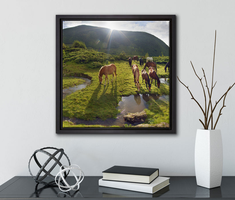 Pferde auf Wiese  auf Leinwandbild Quadratisch gerahmt mit Kirschblüten