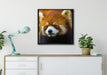 Roter Pandabär auf Ast auf Leinwandbild gerahmt Quadratisch verschiedene Größen im Wohnzimmer