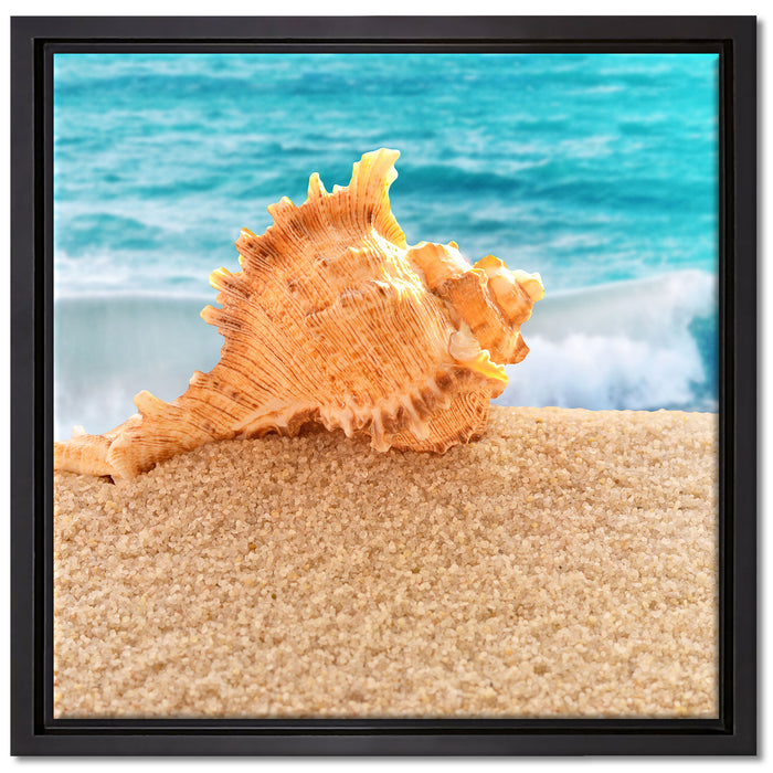 Muschel am Strand auf Leinwandbild Quadratisch gerahmt Größe 40x40