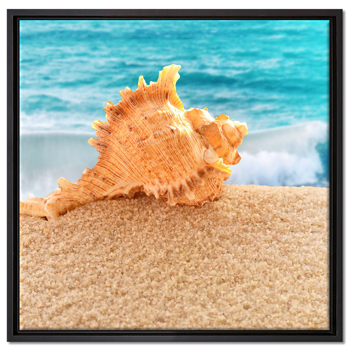 Muschel am Strand auf Leinwandbild Quadratisch gerahmt Größe 60x60