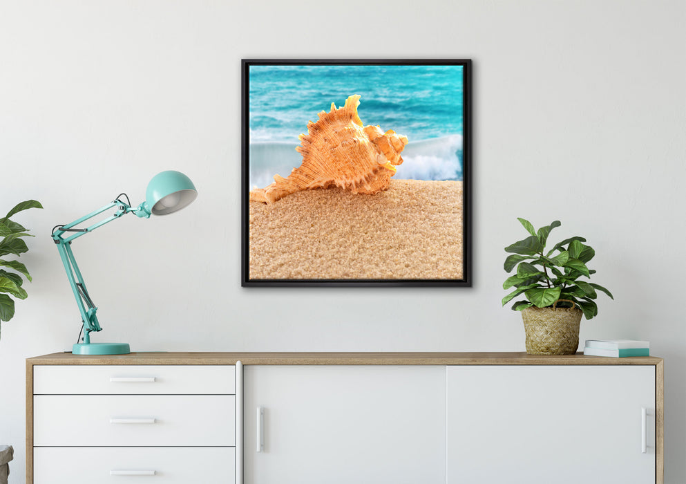 Muschel am Strand auf Leinwandbild gerahmt Quadratisch verschiedene Größen im Wohnzimmer