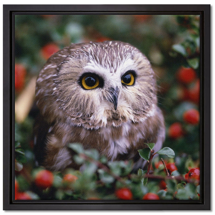 Eule im Vogelbeerenstrauch auf Leinwandbild Quadratisch gerahmt Größe 40x40