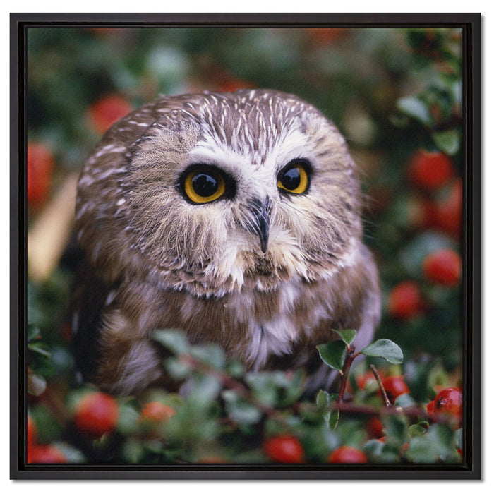 Eule im Vogelbeerenstrauch auf Leinwandbild Quadratisch gerahmt Größe 60x60