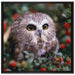 Eule im Vogelbeerenstrauch auf Leinwandbild Quadratisch gerahmt Größe 70x70