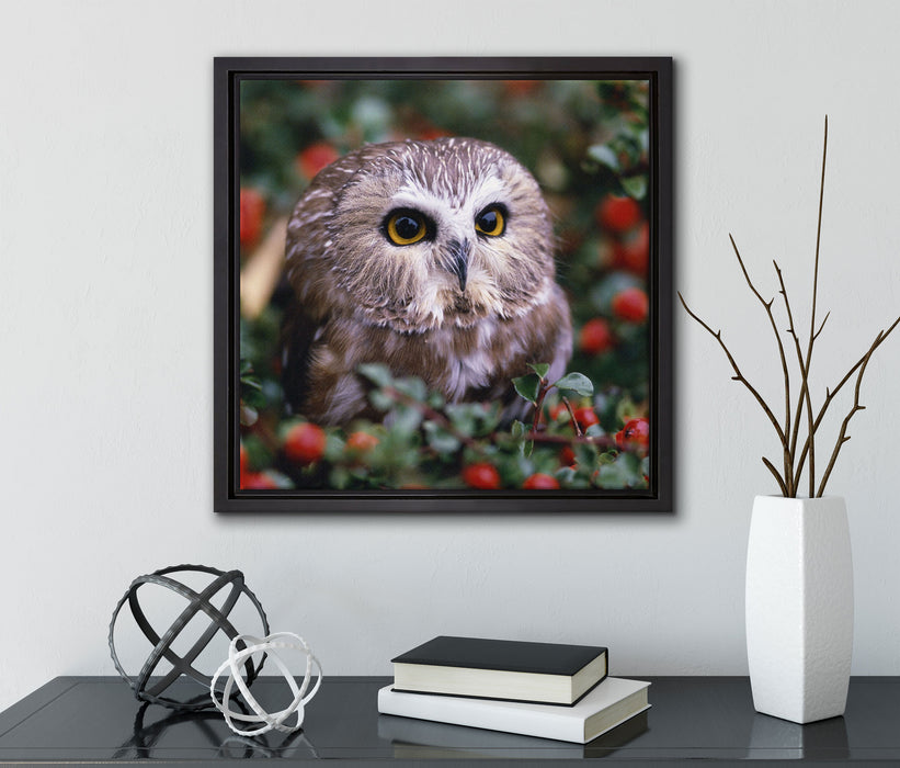 Eule im Vogelbeerenstrauch  auf Leinwandbild Quadratisch gerahmt mit Kirschblüten