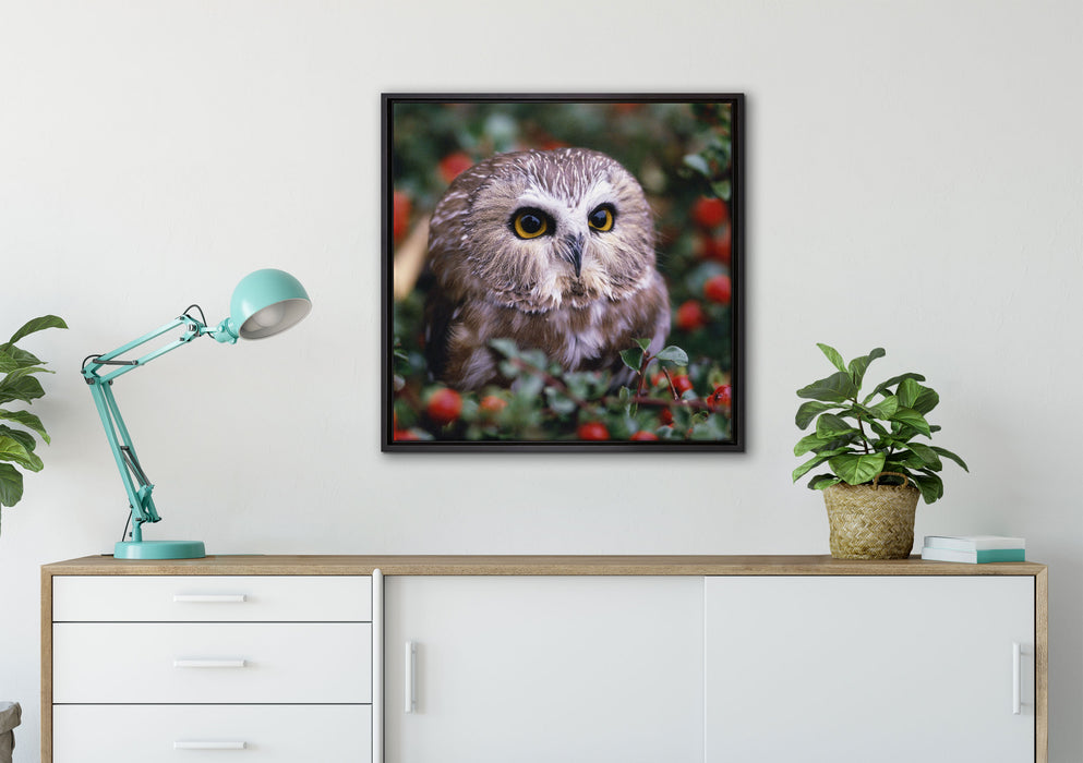 Eule im Vogelbeerenstrauch auf Leinwandbild gerahmt Quadratisch verschiedene Größen im Wohnzimmer