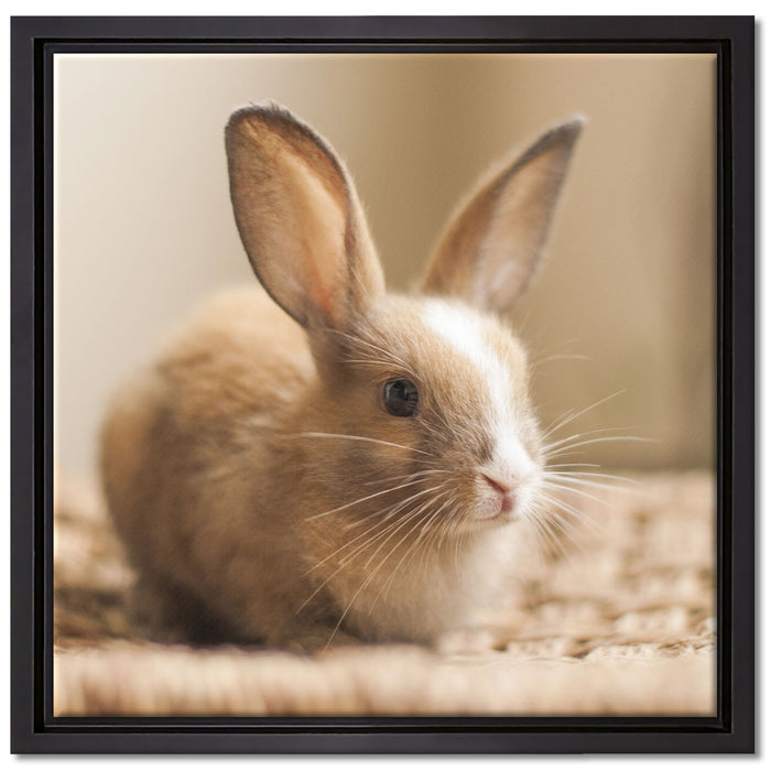 Süßes Kaninchen auf Leinwandbild Quadratisch gerahmt Größe 40x40