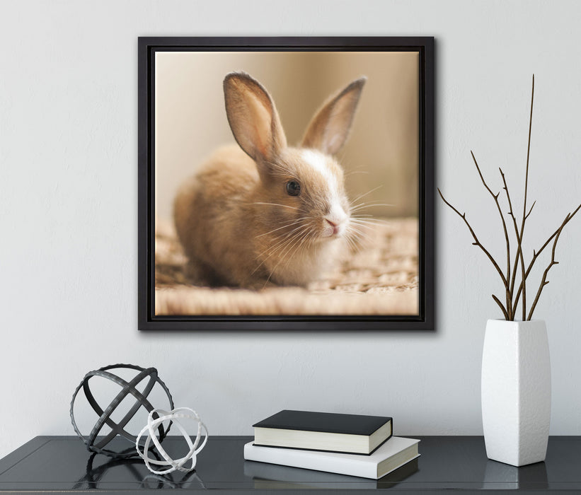 Süßes Kaninchen  auf Leinwandbild Quadratisch gerahmt mit Kirschblüten