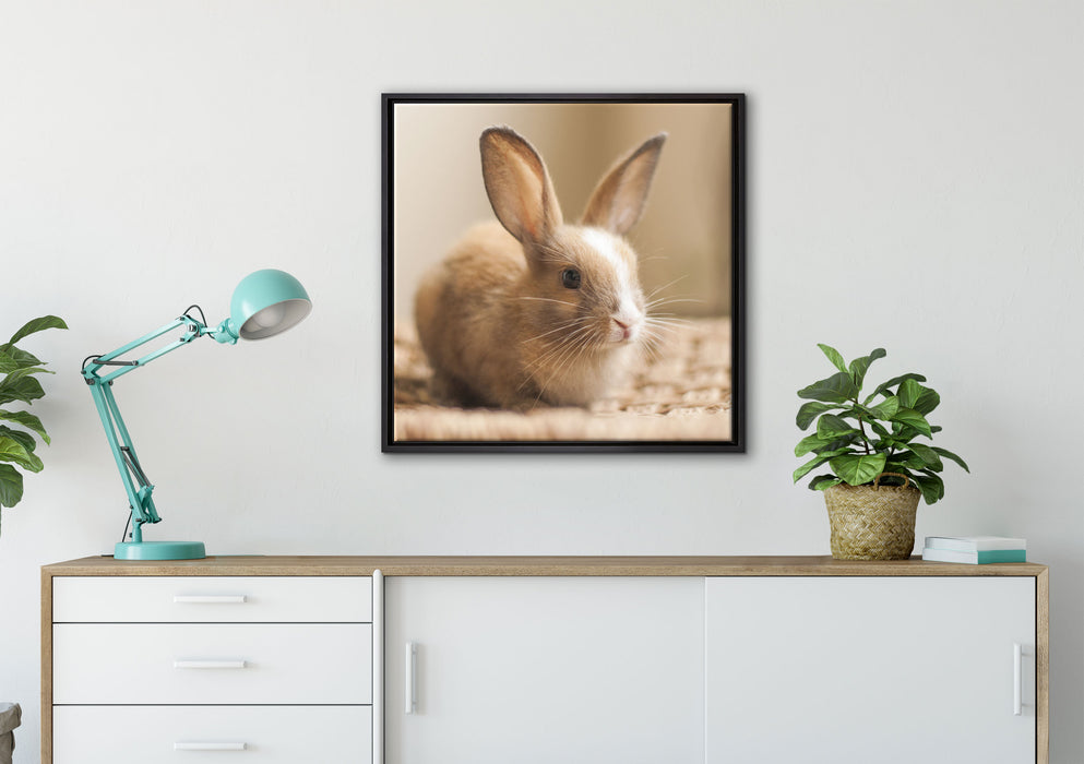 Süßes Kaninchen auf Leinwandbild gerahmt Quadratisch verschiedene Größen im Wohnzimmer