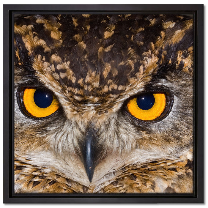 Eule mit gelben Augen auf Leinwandbild Quadratisch gerahmt Größe 40x40