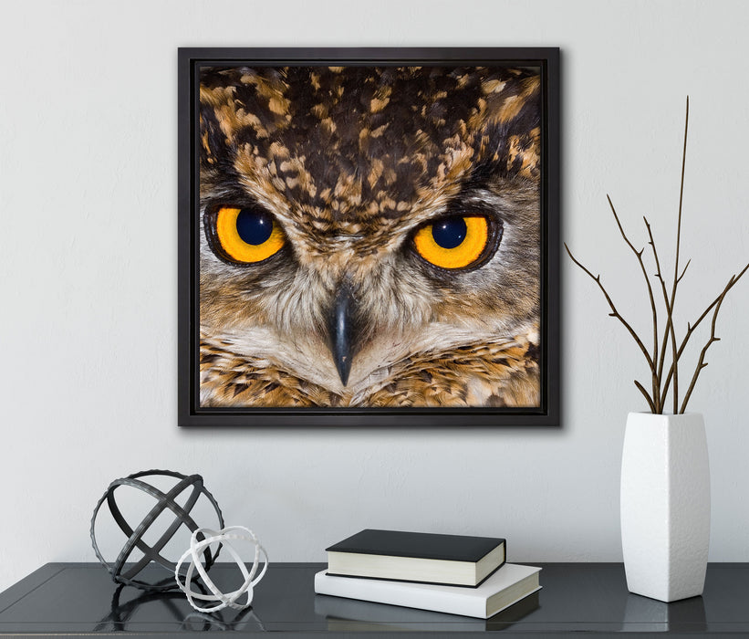 Eule mit gelben Augen  auf Leinwandbild Quadratisch gerahmt mit Kirschblüten