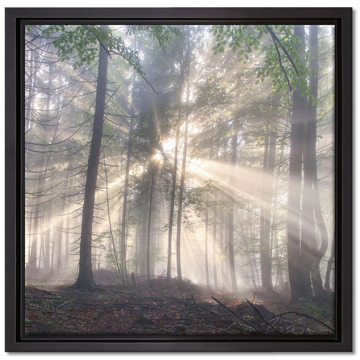 diesiger Waldweg auf Leinwandbild Quadratisch gerahmt Größe 40x40