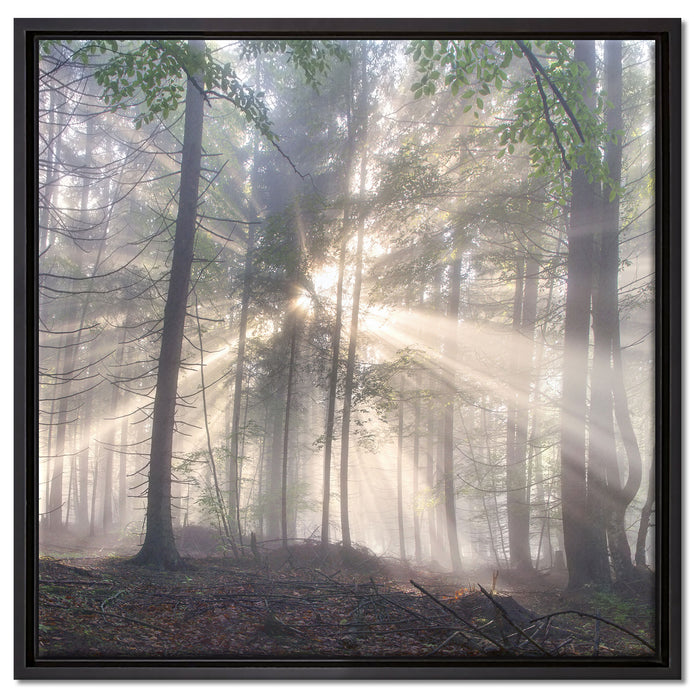 diesiger Waldweg auf Leinwandbild Quadratisch gerahmt Größe 60x60