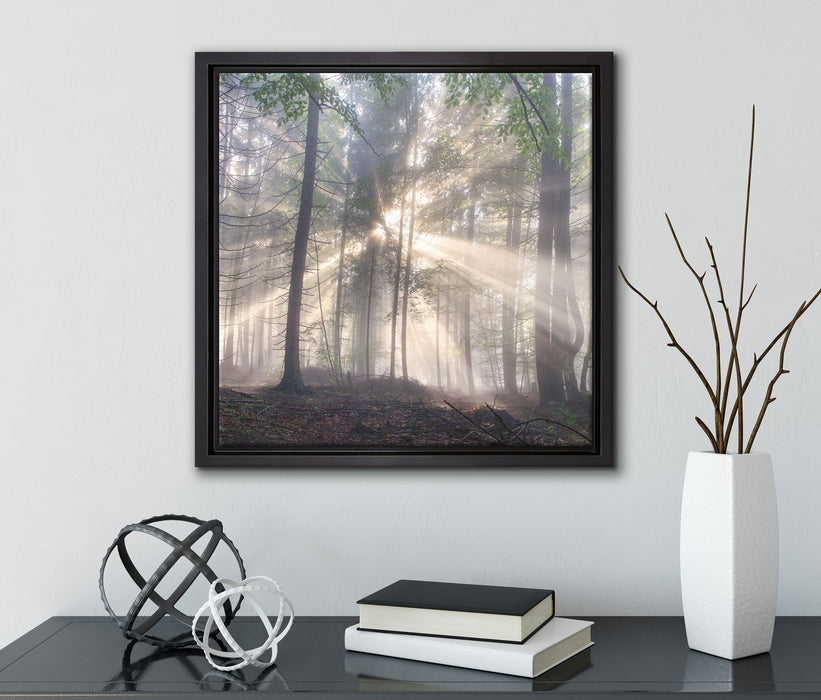 diesiger Waldweg  auf Leinwandbild Quadratisch gerahmt mit Kirschblüten