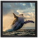 Buckelwale Kanada auf Leinwandbild Quadratisch gerahmt Größe 40x40