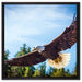 Adler auf Leinwandbild Quadratisch gerahmt Größe 60x60