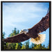 Adler auf Leinwandbild Quadratisch gerahmt Größe 70x70