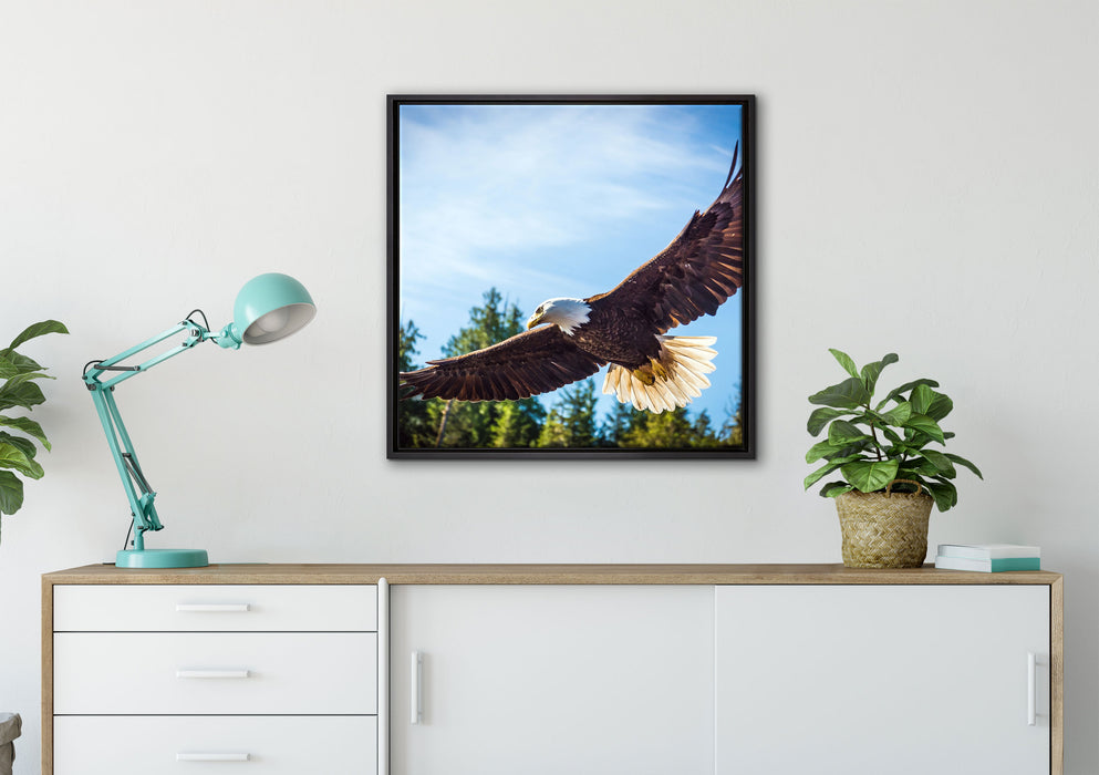 Adler auf Leinwandbild gerahmt Quadratisch verschiedene Größen im Wohnzimmer