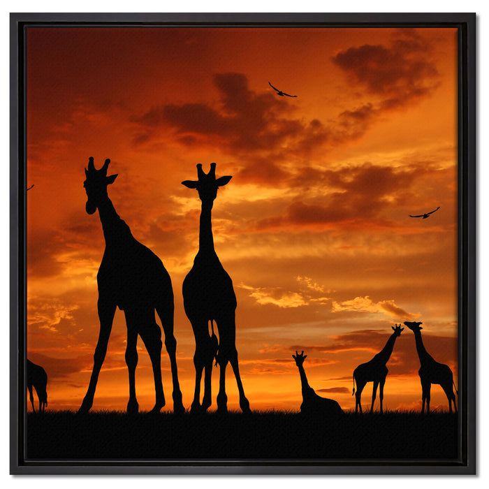 Afrika Giraffen im Sonnenuntergang auf Leinwandbild Quadratisch gerahmt Größe 60x60