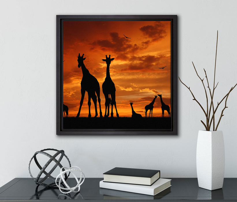 Afrika Giraffen im Sonnenuntergang  auf Leinwandbild Quadratisch gerahmt mit Kirschblüten