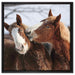 schmusende Pferde auf Leinwandbild Quadratisch gerahmt Größe 60x60