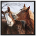 schmusende Pferde auf Leinwandbild Quadratisch gerahmt Größe 70x70