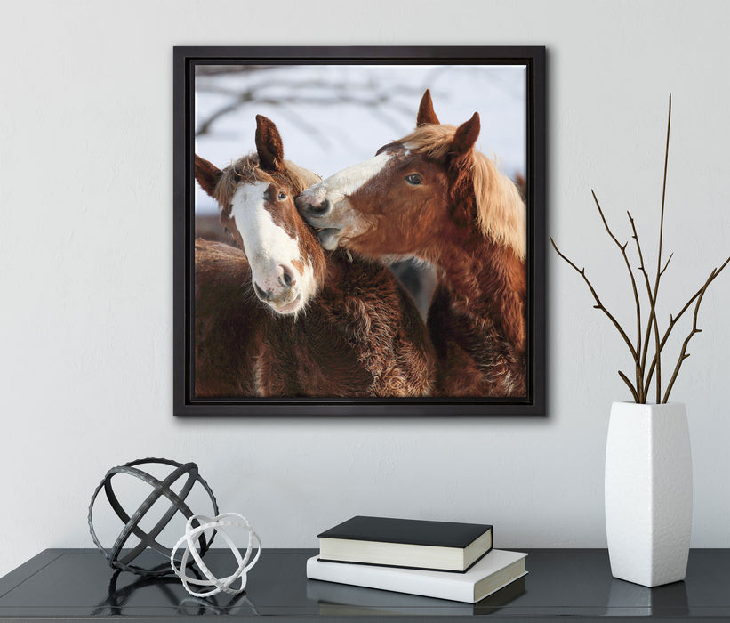 schmusende Pferde  auf Leinwandbild Quadratisch gerahmt mit Kirschblüten