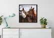 schmusende Pferde auf Leinwandbild gerahmt Quadratisch verschiedene Größen im Wohnzimmer