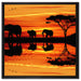 Afrika Elefant in Sonnenschein auf Leinwandbild Quadratisch gerahmt Größe 60x60