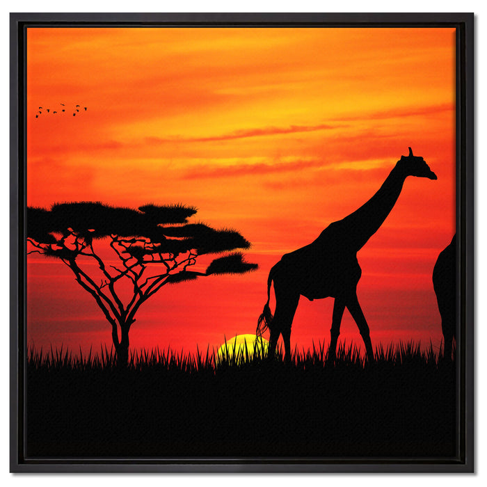 Afrika Giraffen im Sonnenuntergang auf Leinwandbild Quadratisch gerahmt Größe 60x60