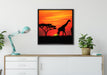 Afrika Giraffen im Sonnenuntergang auf Leinwandbild gerahmt Quadratisch verschiedene Größen im Wohnzimmer