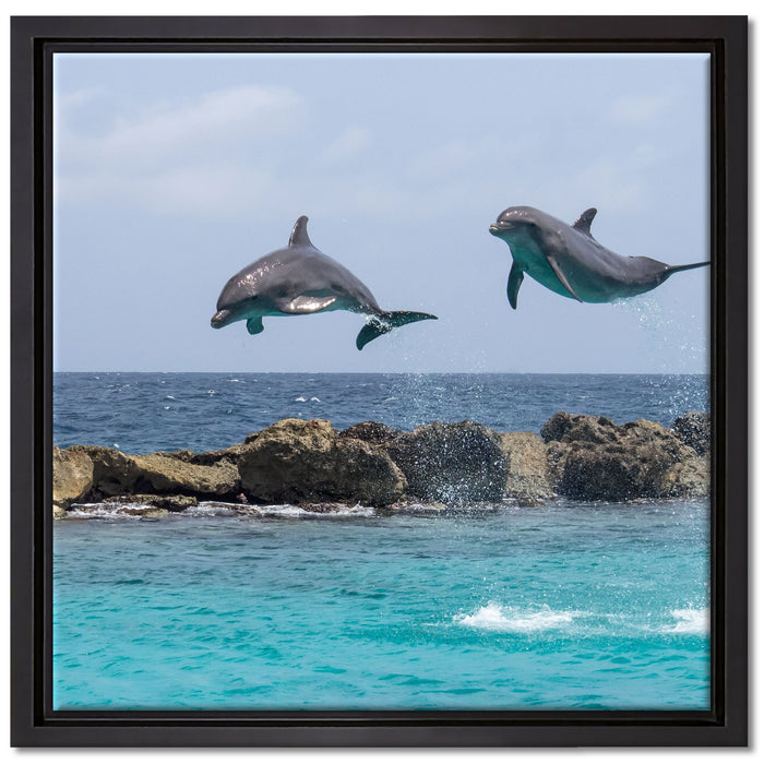 springende Delphine auf Leinwandbild Quadratisch gerahmt Größe 40x40