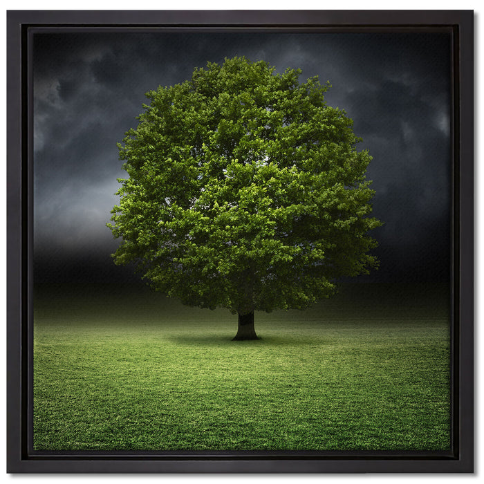 einzelner Baum auf grüner Wiese auf Leinwandbild Quadratisch gerahmt Größe 40x40